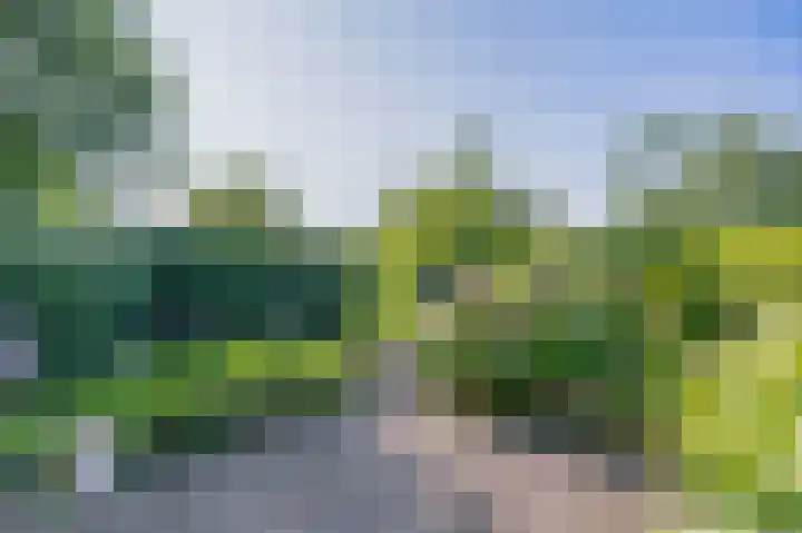IJsseldijk-Noord 206 Ouderkerk aan den IJssel thumbnail 40