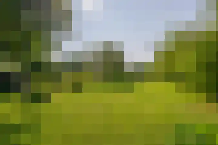 IJsseldijk-Noord 206 Ouderkerk aan den IJssel thumbnail 43