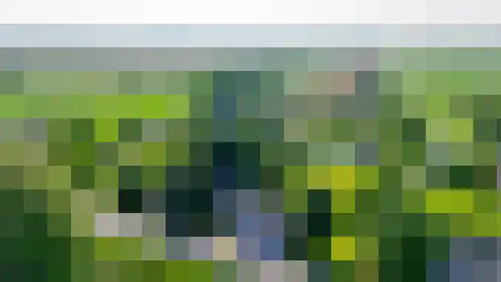 IJsseldijk-Noord 206 Ouderkerk aan den IJssel thumbnail 48
