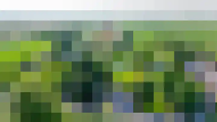IJsseldijk-Noord 206 Ouderkerk aan den IJssel thumbnail 49