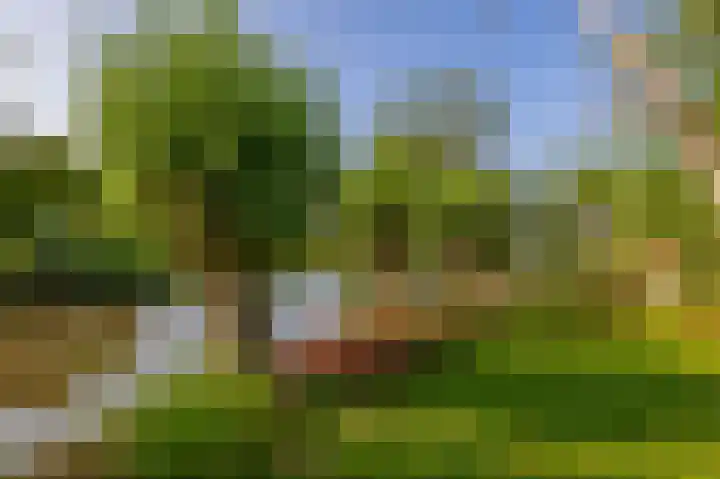 IJsseldijk-Noord 206 Ouderkerk aan den IJssel thumbnail 5