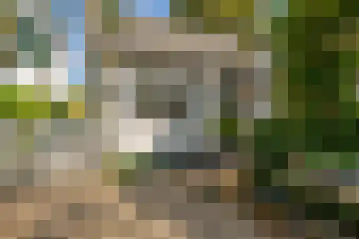 IJsseldijk-Noord 206 Ouderkerk aan den IJssel thumbnail 9