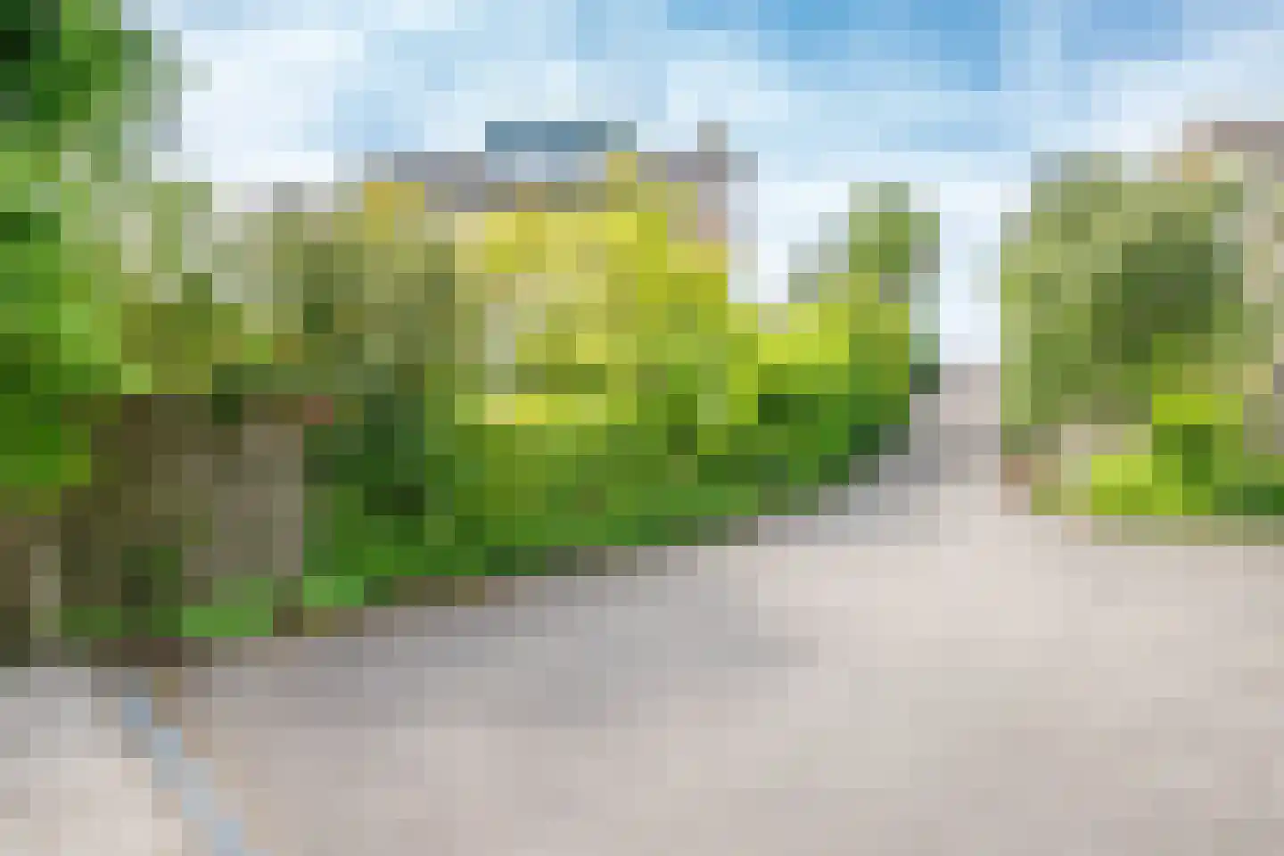 IJsseldijk-Noord 226 Ouderkerk aan den IJssel thumbnail 31