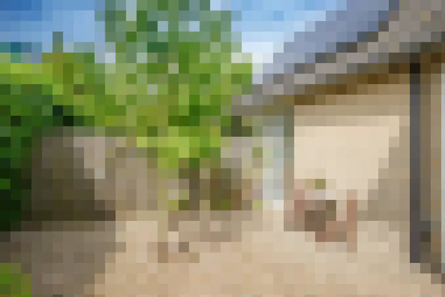 IJsseldijk-Noord 226 Ouderkerk aan den IJssel thumbnail 36