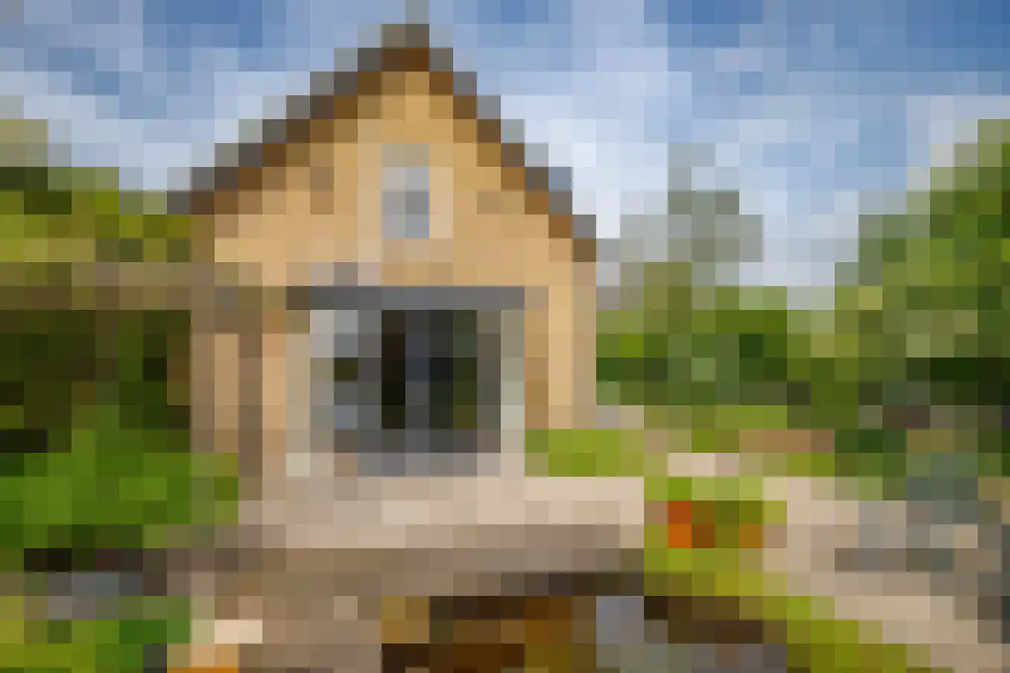 IJsseldijk-Noord 226 Ouderkerk aan den IJssel thumbnail 40