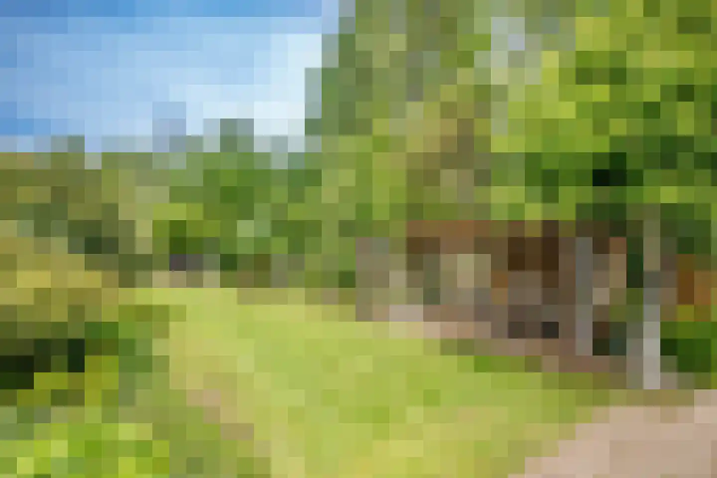 IJsseldijk-Noord 226 Ouderkerk aan den IJssel thumbnail 47