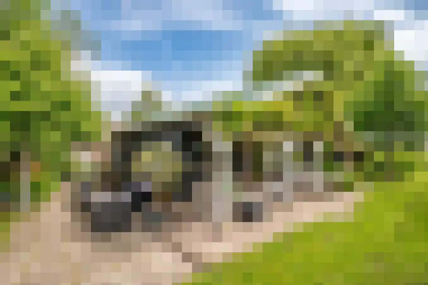 IJsseldijk-Noord 226 Ouderkerk aan den IJssel thumbnail 48