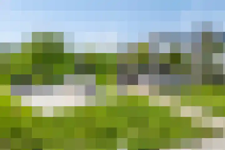 IJsseldijk-Noord 232 Ouderkerk aan den IJssel thumbnail 33