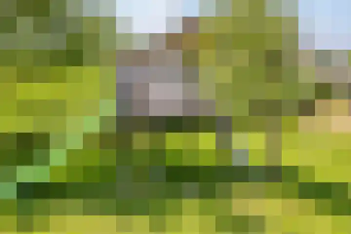 IJsseldijk-Noord 232 Ouderkerk aan den IJssel thumbnail 35