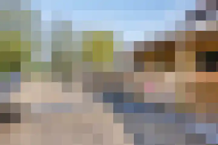 IJsseldijk-Noord 232 Ouderkerk aan den IJssel thumbnail 39