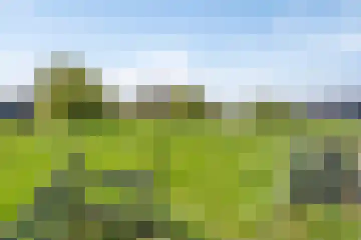 IJsseldijk-Noord 232 Ouderkerk aan den IJssel thumbnail 41