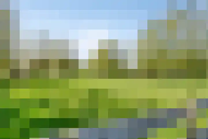 IJsseldijk-Noord 232 Ouderkerk aan den IJssel thumbnail 42