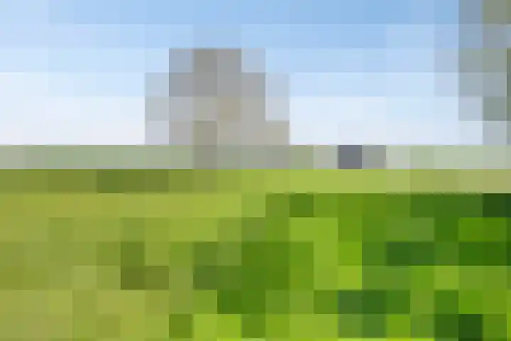 IJsseldijk-Noord 232 Ouderkerk aan den IJssel thumbnail 43