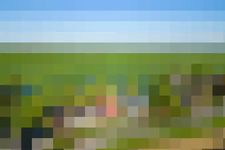 IJsseldijk-Noord 232 Ouderkerk aan den IJssel thumbnail 44