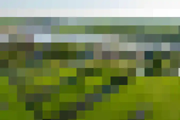 IJsseldijk-Noord 232 Ouderkerk aan den IJssel thumbnail 45