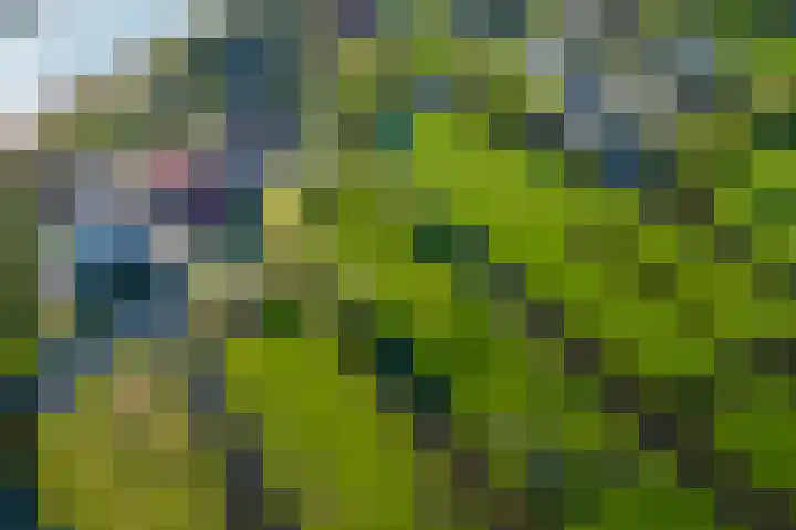 IJsseldijk-Noord 232 Ouderkerk aan den IJssel thumbnail 47