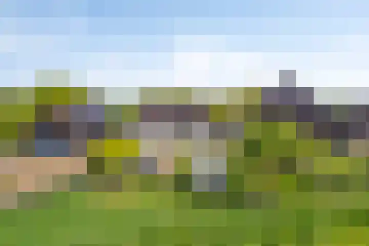 IJsseldijk-Noord 232 Ouderkerk aan den IJssel thumbnail 51