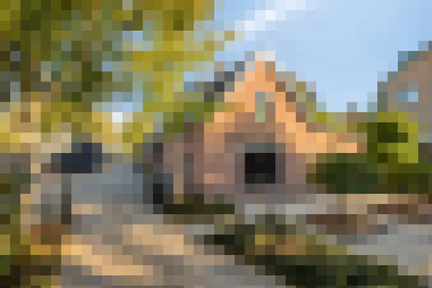 IJsseldijk-Noord 236 Ouderkerk aan den IJssel