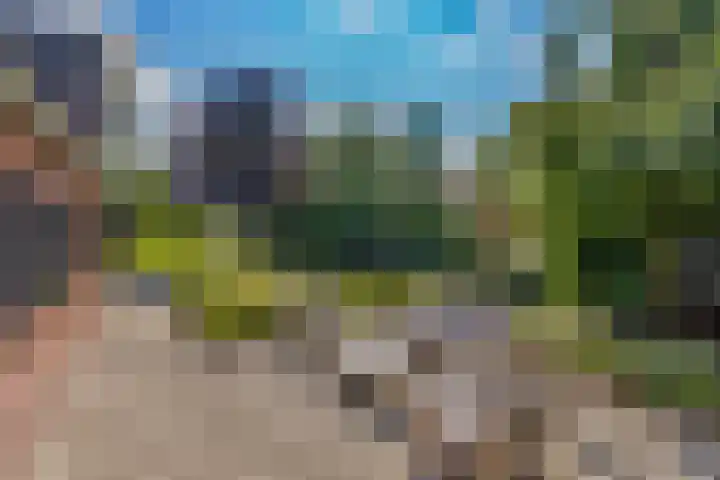 IJsseldijk-Noord 236 Ouderkerk aan den IJssel thumbnail 29