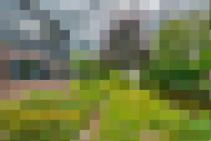 IJsseldijk-Noord 236 Ouderkerk aan den IJssel thumbnail 31