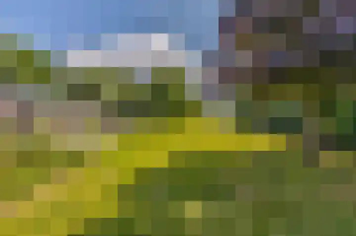 IJsseldijk-Noord 236 Ouderkerk aan den IJssel thumbnail 34