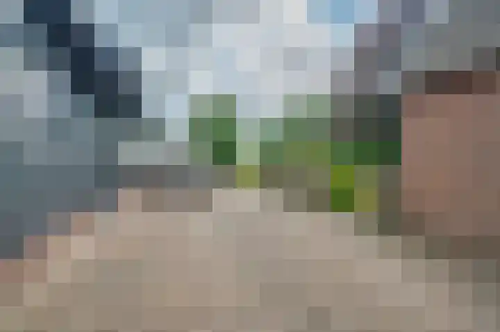 IJsseldijk-Noord 236 Ouderkerk aan den IJssel thumbnail 41