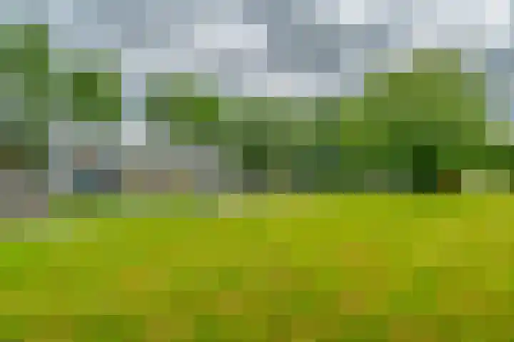 IJsseldijk-Noord 236 Ouderkerk aan den IJssel thumbnail 43