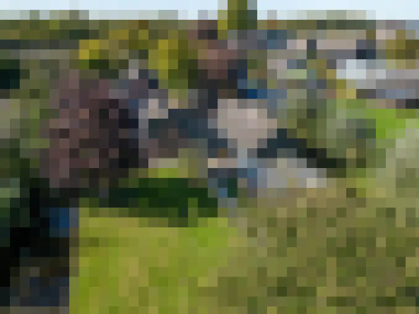 IJsseldijk-Noord 236 Ouderkerk aan den IJssel thumbnail 47