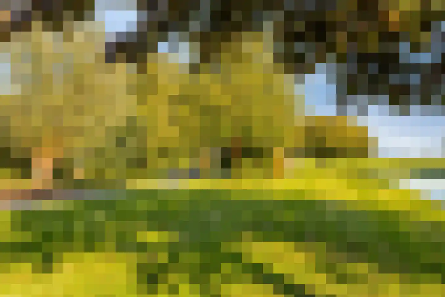 IJsseldijk-Noord 236 Ouderkerk aan den IJssel thumbnail 51