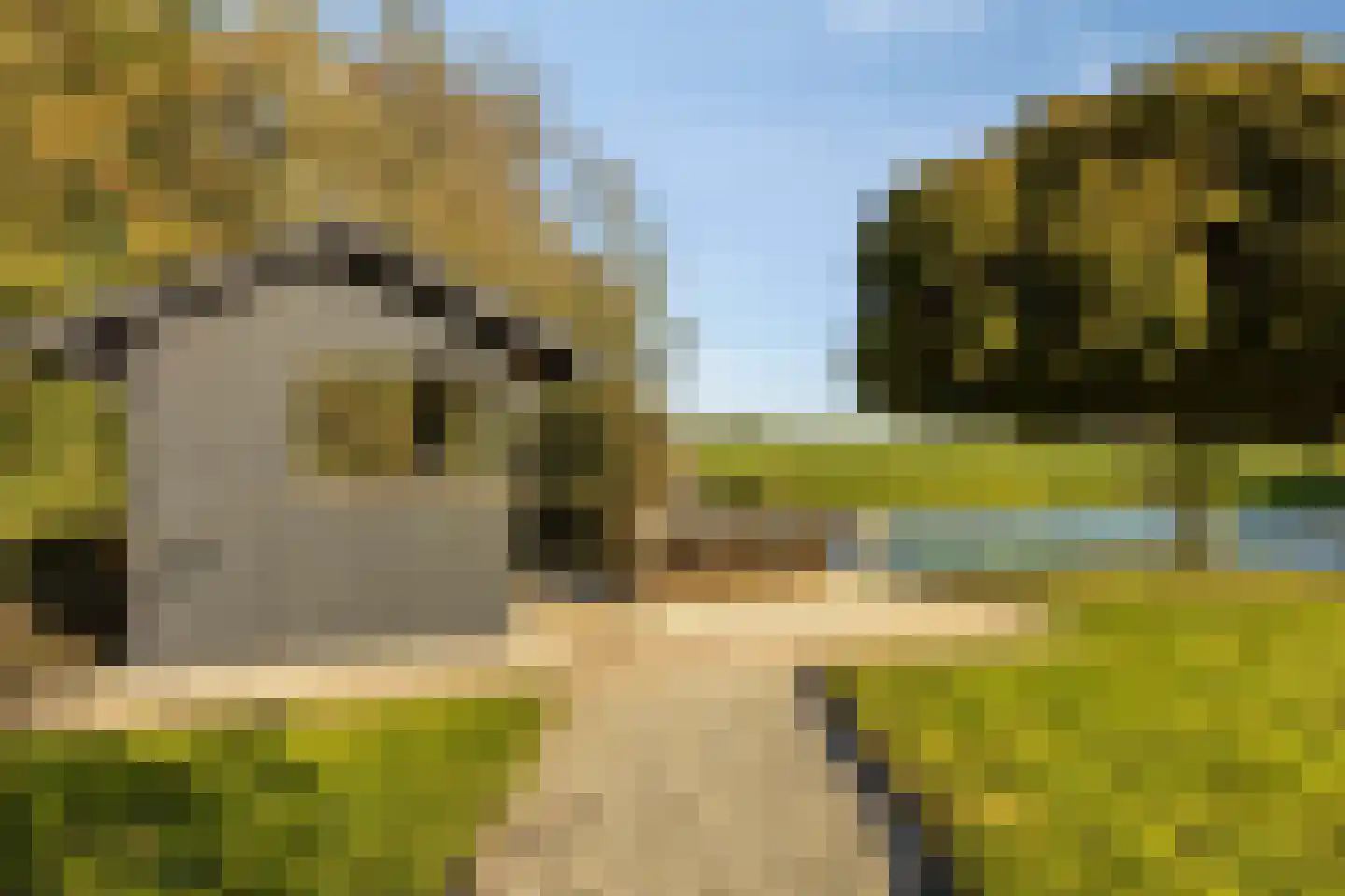 IJsseldijk-Noord 236 Ouderkerk aan den IJssel thumbnail 53
