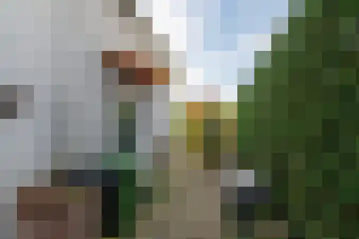 IJsseldijk-Noord 25 Ouderkerk aan den IJssel thumbnail 30