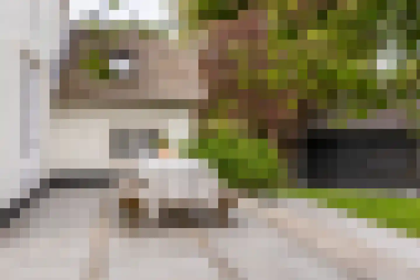 IJsseldijk-Noord 274 Ouderkerk aan den IJssel thumbnail 52