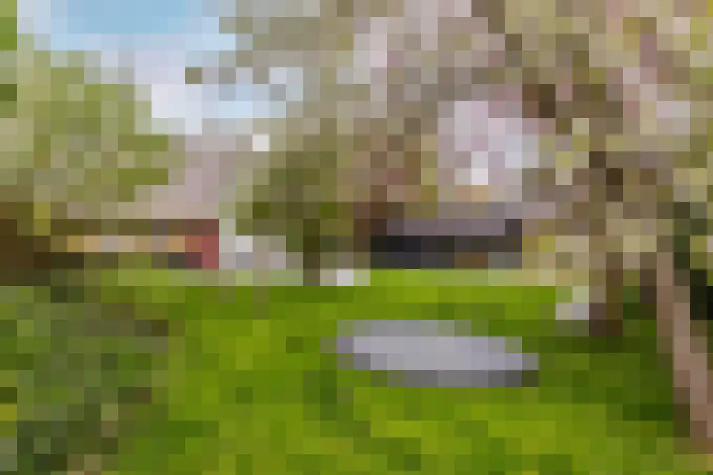 IJsseldijk-Noord 274 Ouderkerk aan den IJssel thumbnail 54