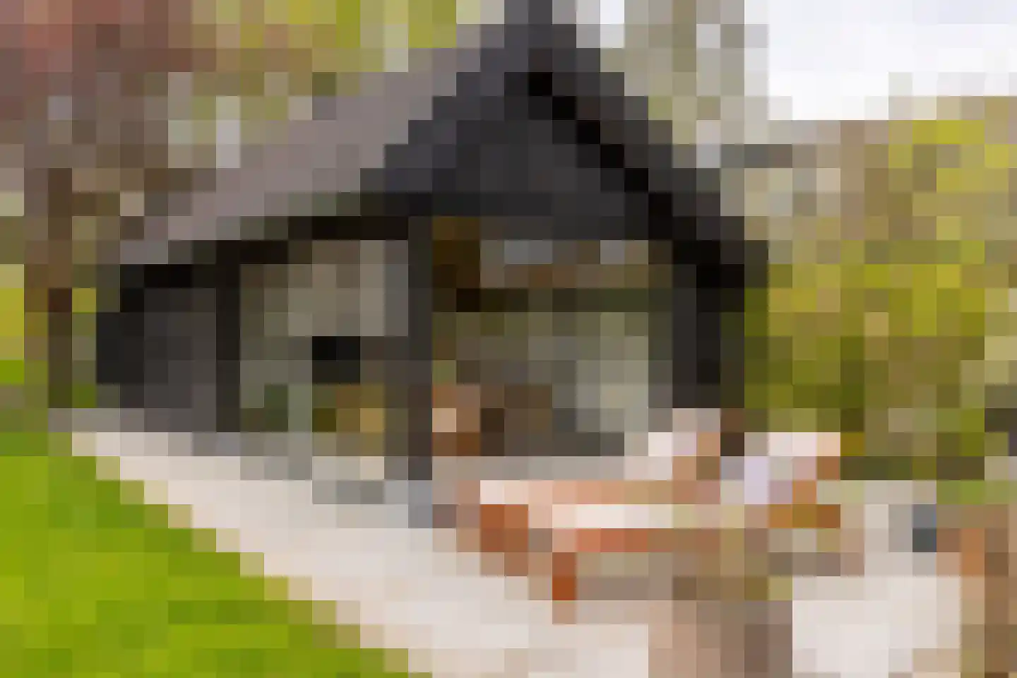 IJsseldijk-Noord 274 Ouderkerk aan den IJssel thumbnail 57