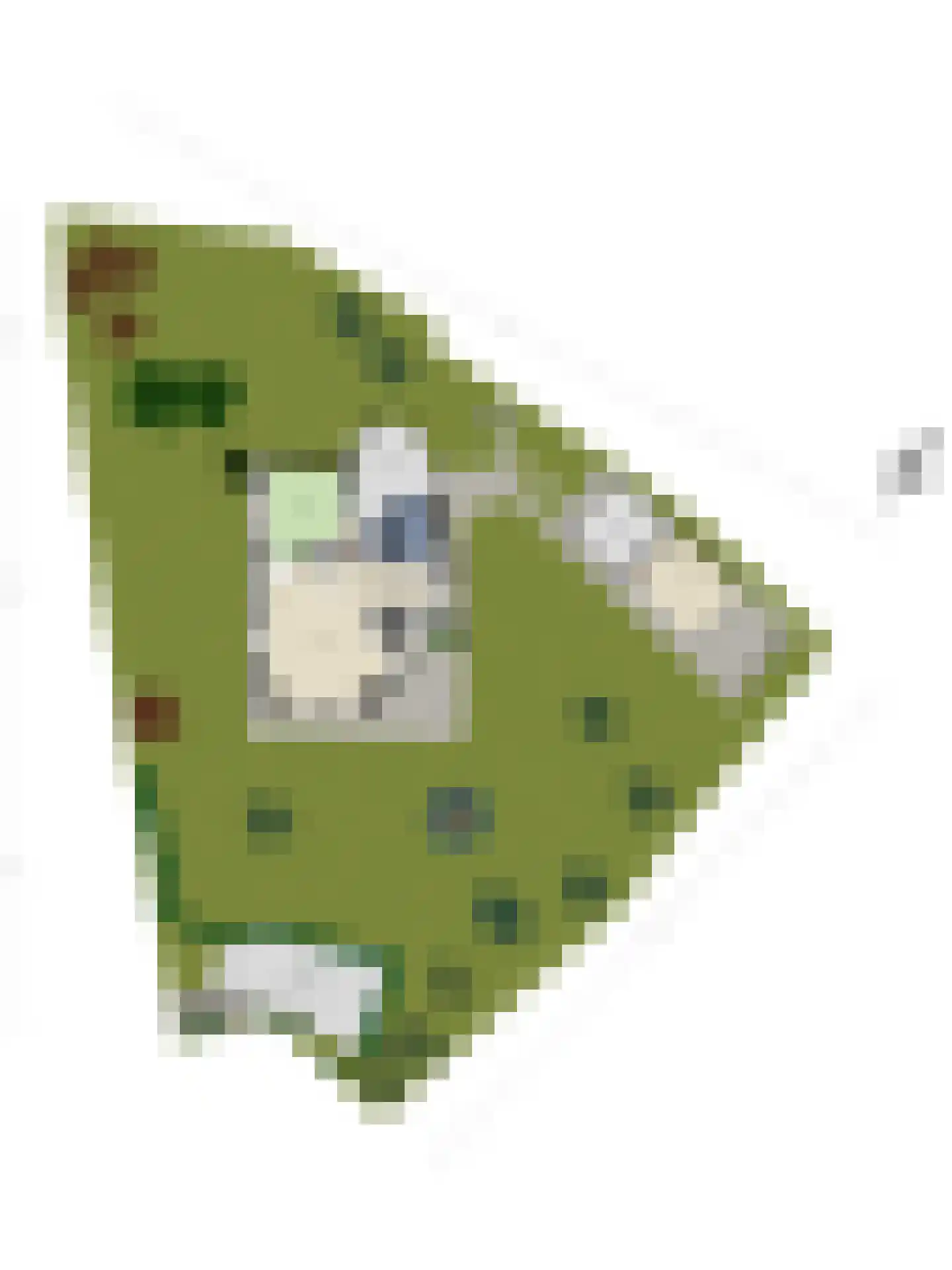 IJsseldijk-Noord 274 Ouderkerk aan den IJssel thumbnail 64