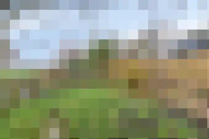 IJsseldijk-Noord 301 Ouderkerk aan den IJssel thumbnail 23