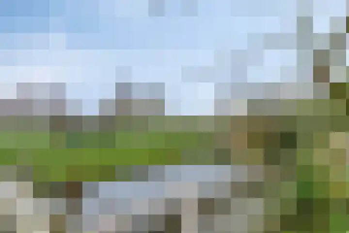 IJsseldijk-Noord 301 Ouderkerk aan den IJssel thumbnail 24
