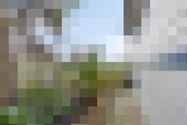 IJsseldijk-Noord 301 Ouderkerk aan den IJssel thumbnail 25
