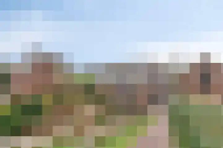 IJsseldijk-Noord 301 Ouderkerk aan den IJssel thumbnail 34