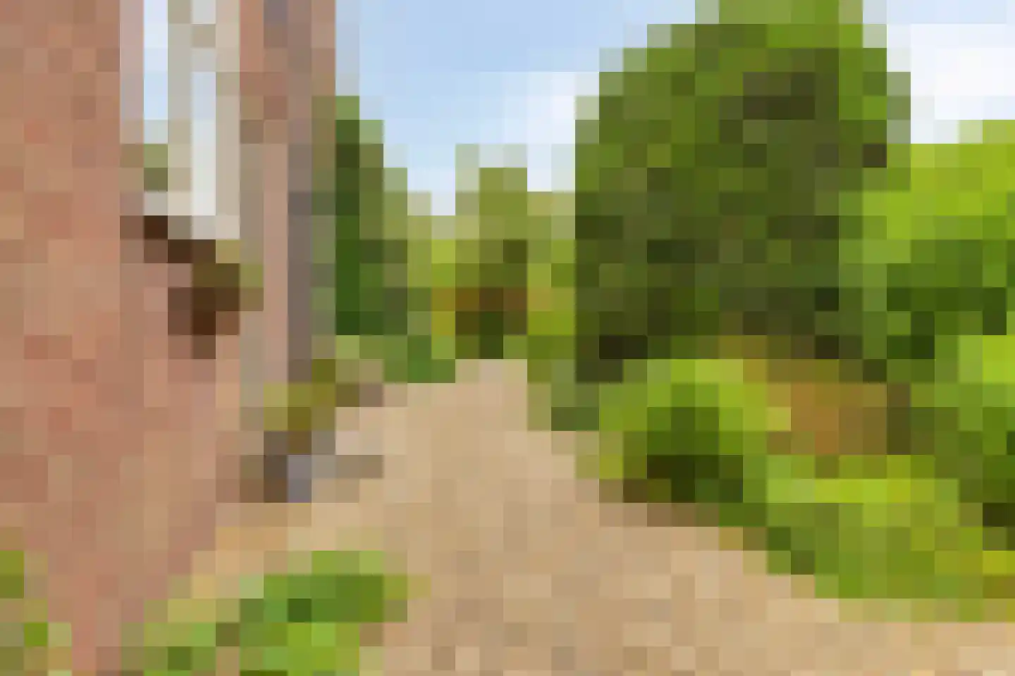IJsseldijk-Noord 302 Ouderkerk aan den IJssel thumbnail 25