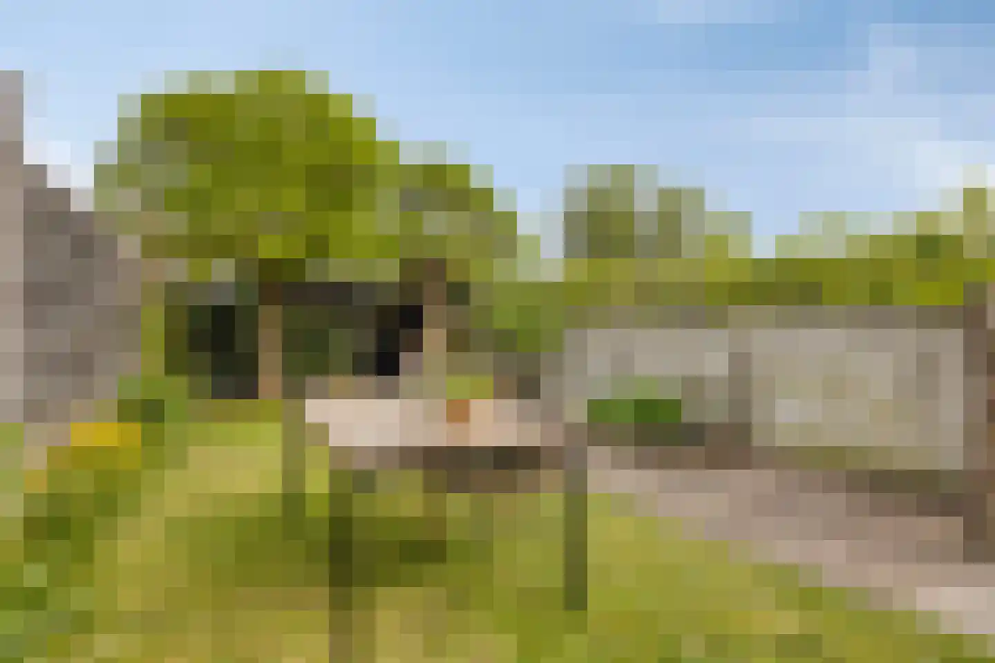 IJsseldijk-Noord 321 Ouderkerk aan den IJssel thumbnail 36