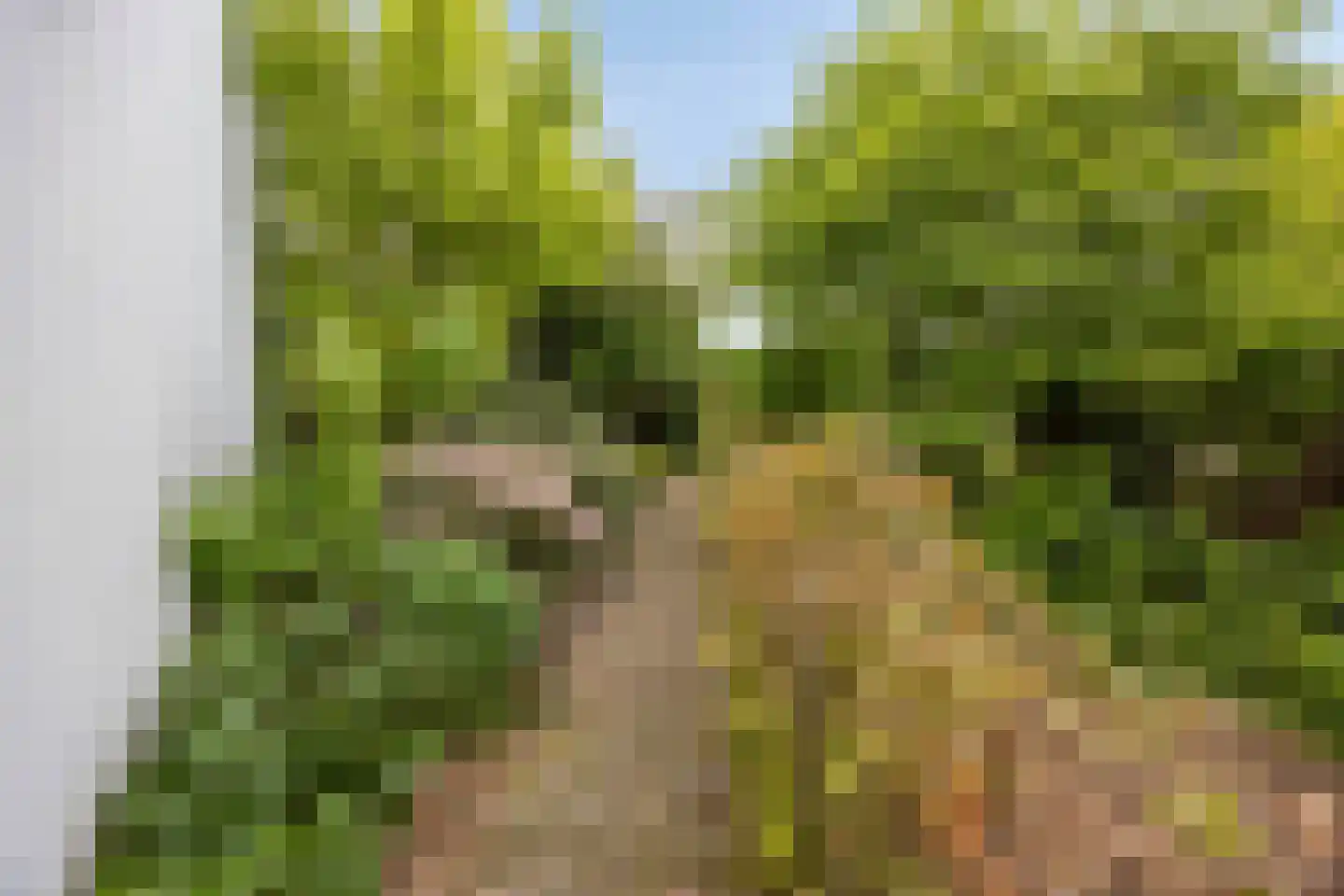 IJsseldijk-Noord 321 Ouderkerk aan den IJssel thumbnail 6