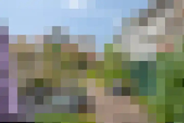 IJsseldijk-Noord 322 Ouderkerk aan den IJssel thumbnail 31