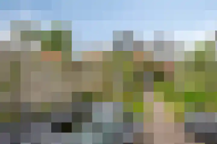 IJsseldijk-Noord 322 Ouderkerk aan den IJssel thumbnail 32