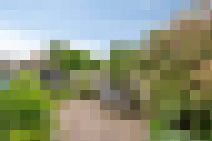 IJsseldijk-Noord 322 Ouderkerk aan den IJssel thumbnail 33
