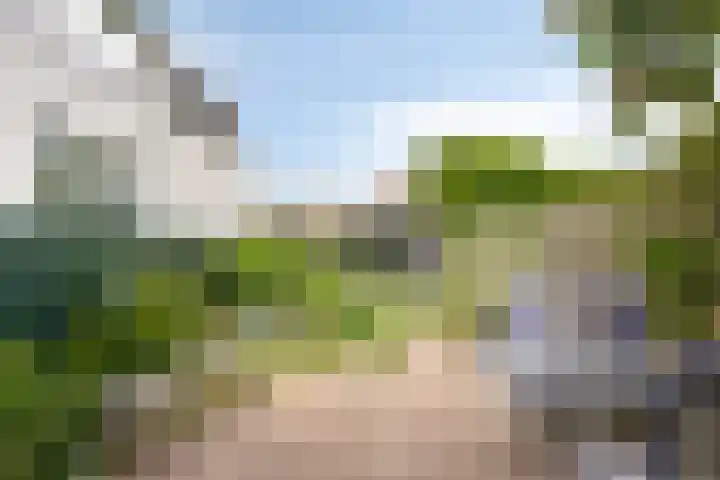 IJsseldijk-Noord 322 Ouderkerk aan den IJssel thumbnail 34