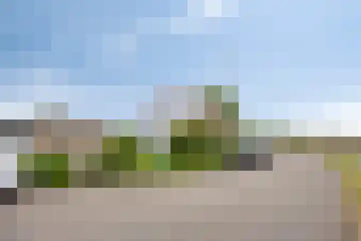 IJsseldijk-Noord 322 Ouderkerk aan den IJssel thumbnail 36