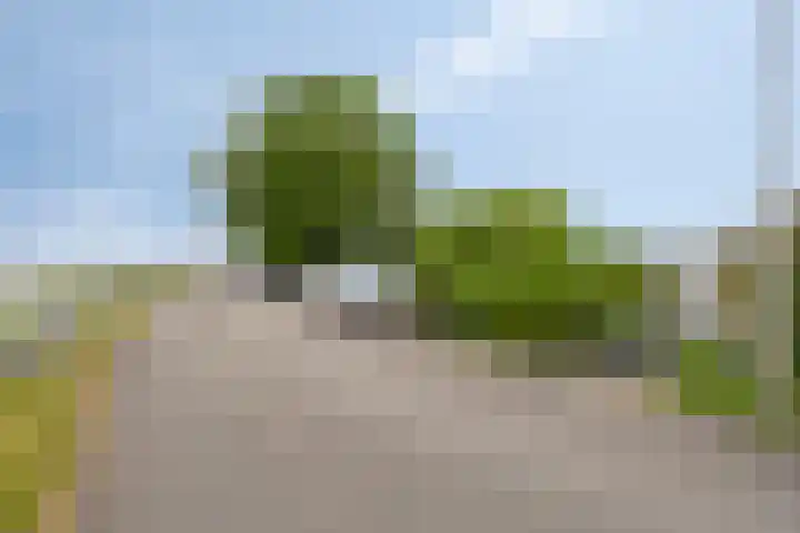 IJsseldijk-Noord 322 Ouderkerk aan den IJssel thumbnail 37