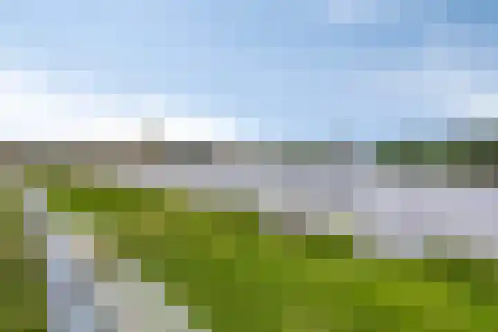 IJsseldijk-Noord 322 Ouderkerk aan den IJssel thumbnail 38