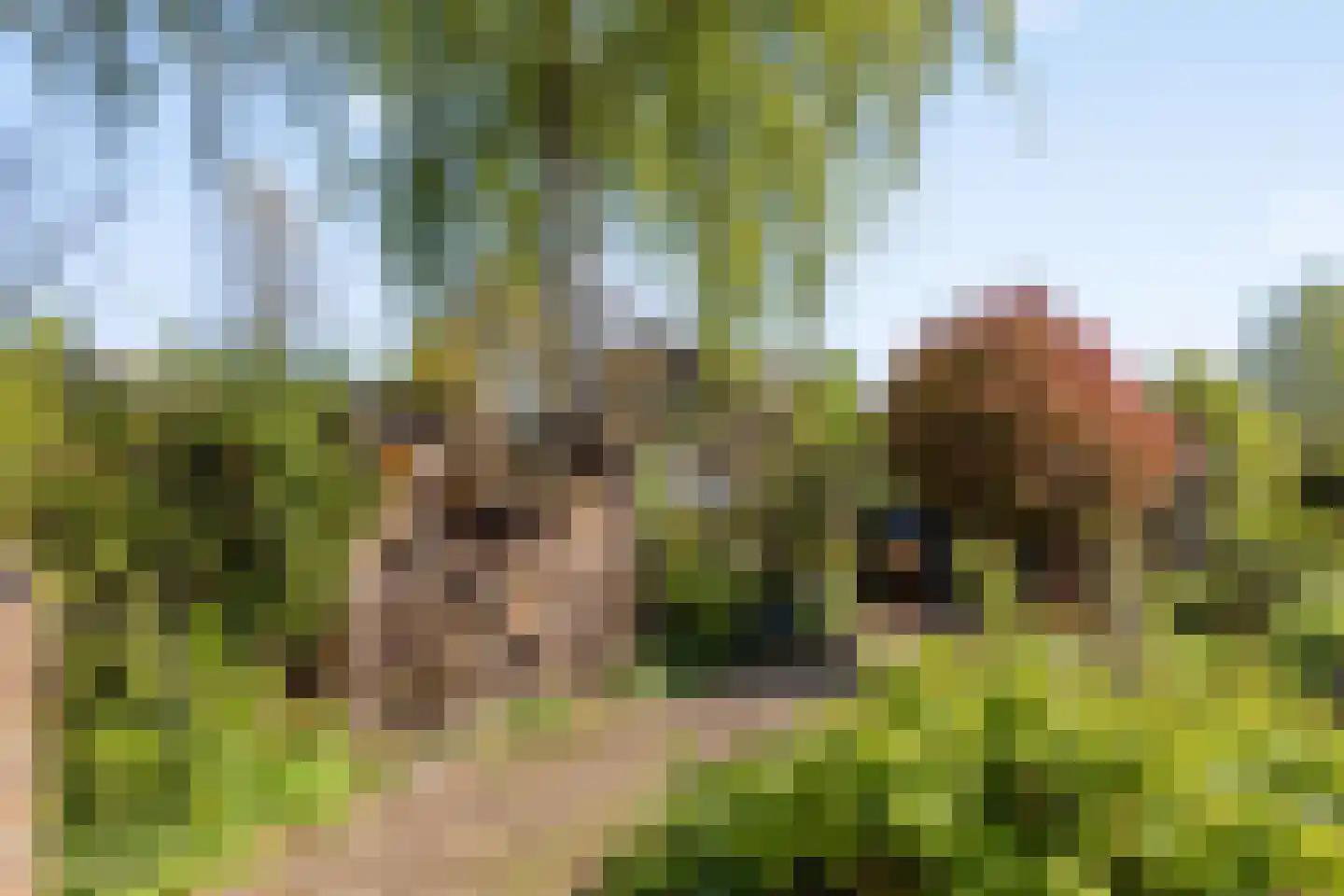 IJsseldijk-Noord 376 Ouderkerk aan den IJssel thumbnail 29